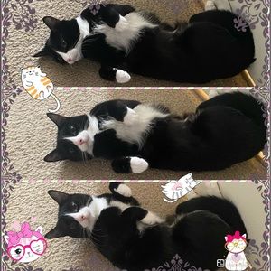 Meet your Posher, Marina